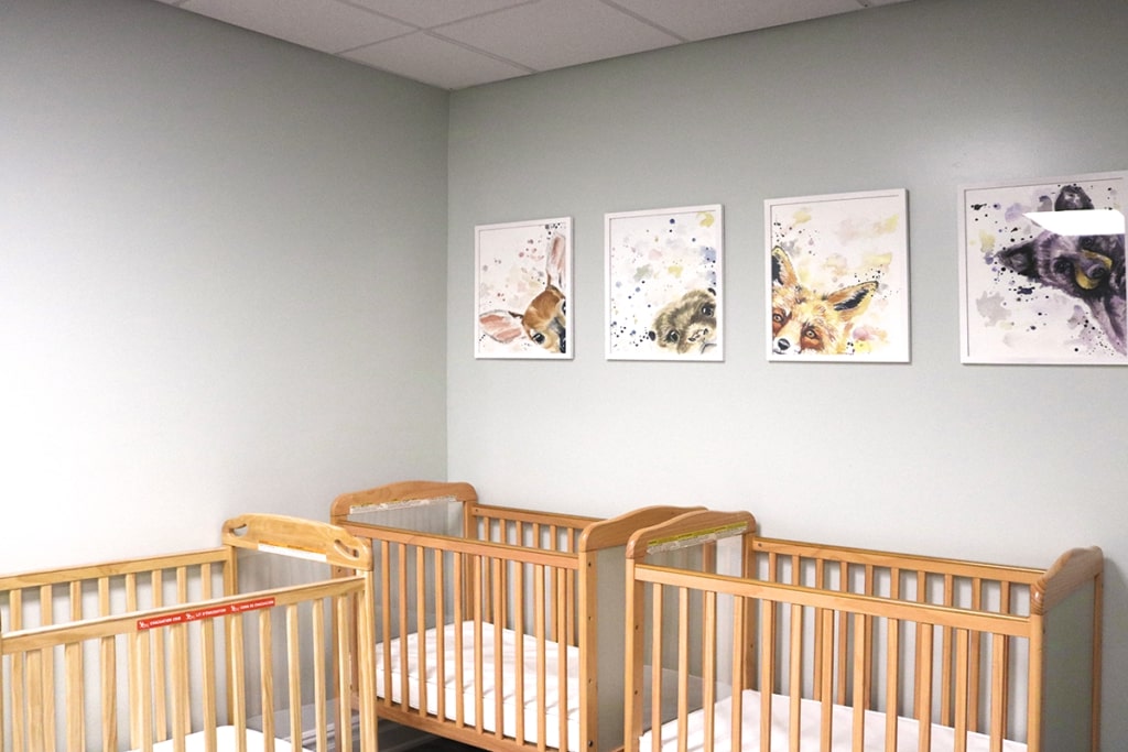Monarch Montessori School Image